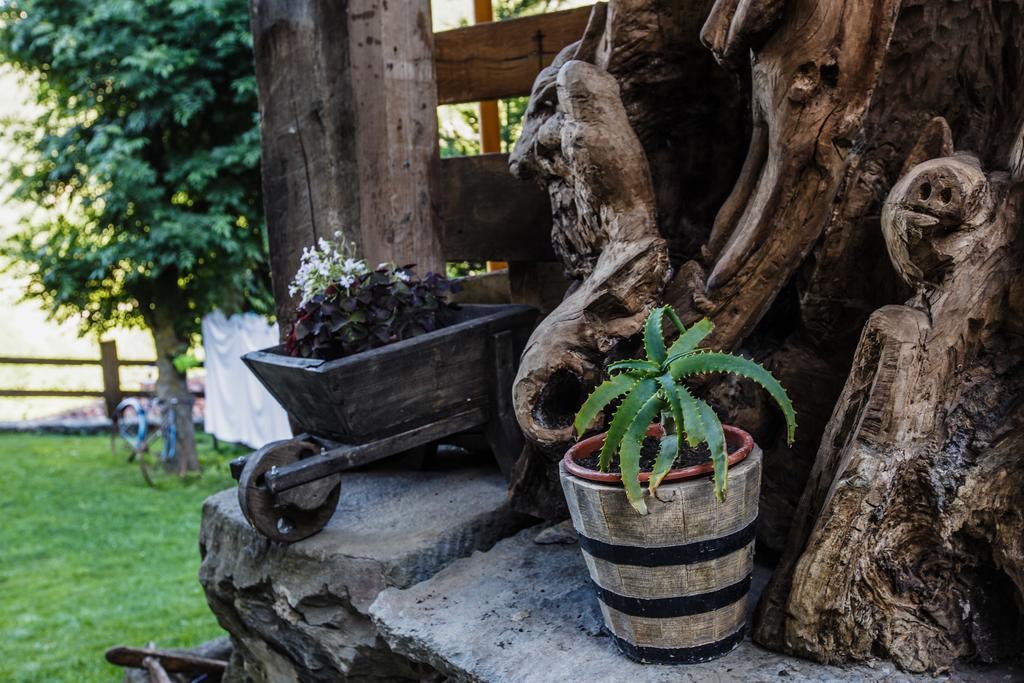 La Posada De Cucayo Dobres Eksteriør bilde