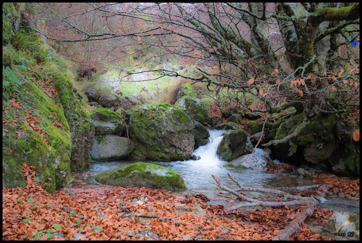 La Posada De Cucayo Dobres Eksteriør bilde